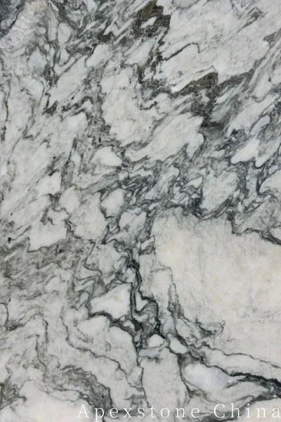 Fantastico Arni Quartzite Luxury White Stone suppliers