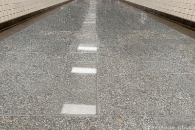 Grey Moca Grey Limestone Floors